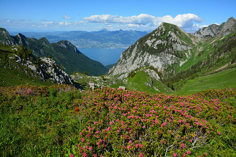 Le Geoparc du Chablais Image