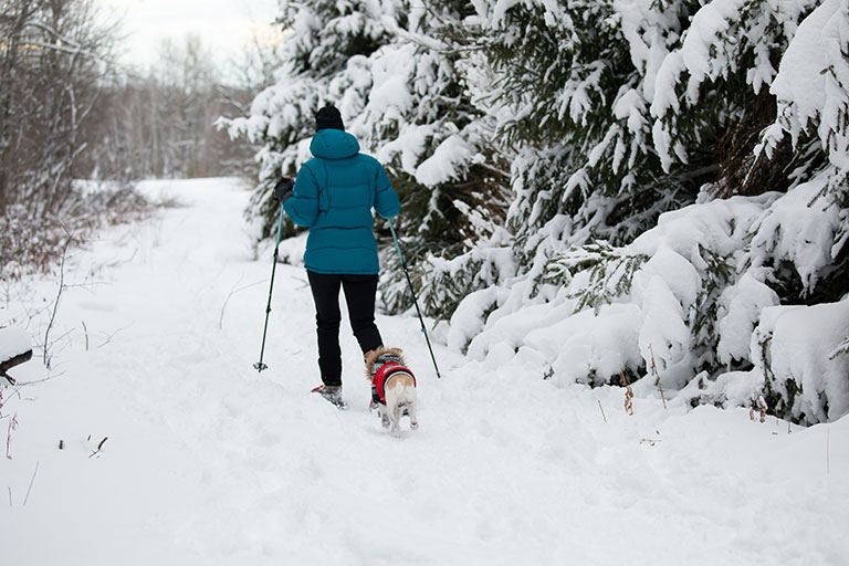 Les raquettes Les raquettes à neige